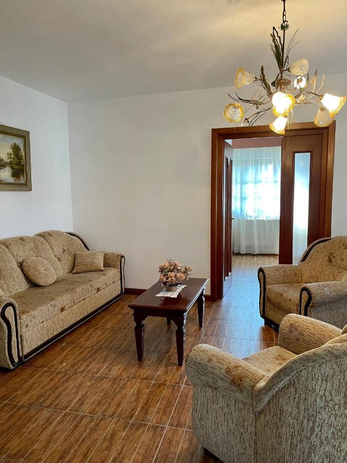 Pension Casa Iurca Sighetu Marmaţiei Buitenkant foto